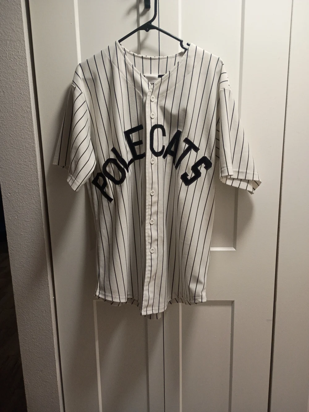 White and Black Pinstripe 'POLECATS' Baseball Jersey